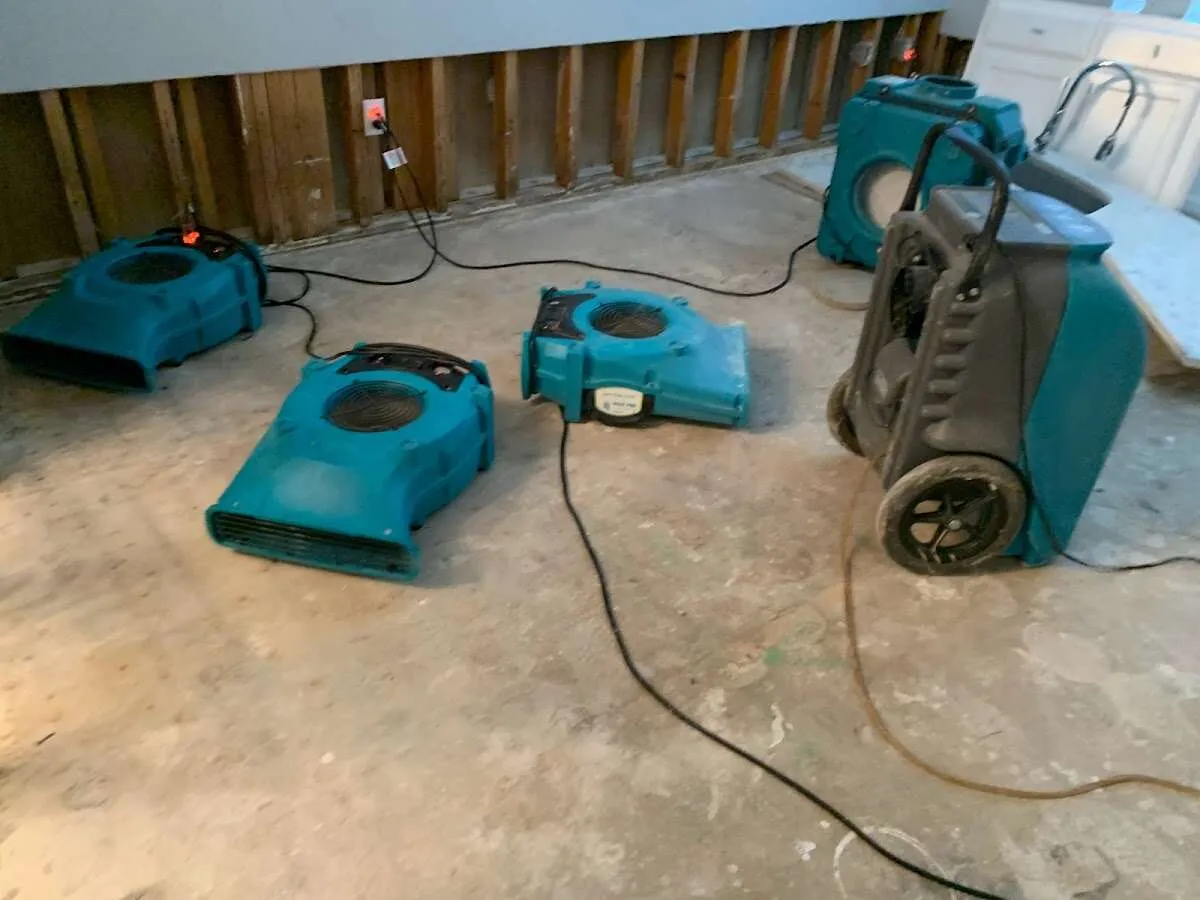 Water Damage Restoration services in Bellefontaine Neighbors, MO